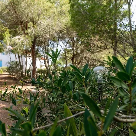 Villa Villa Mario & Anna Carloforte