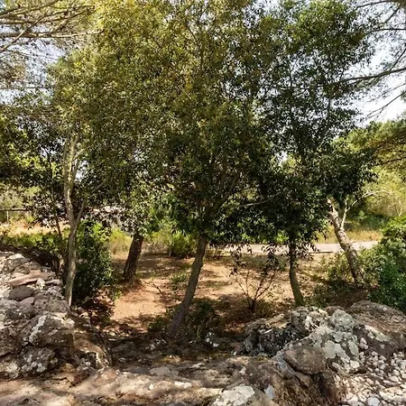 Villa Mario & Anna Carloforte Villa Carloforte (Isola di San Pietro)